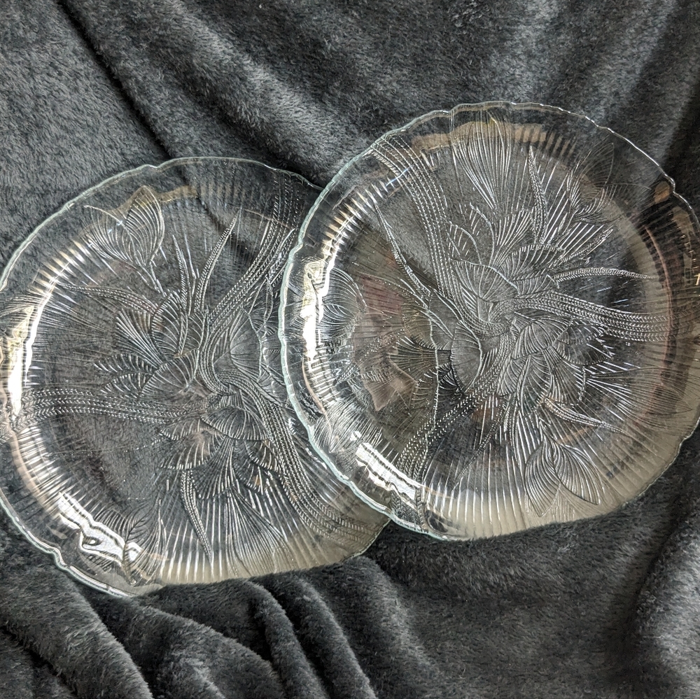 Vintage Arcoroc Canterbury 10.5" Plates - 2